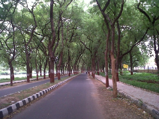 walkway to college